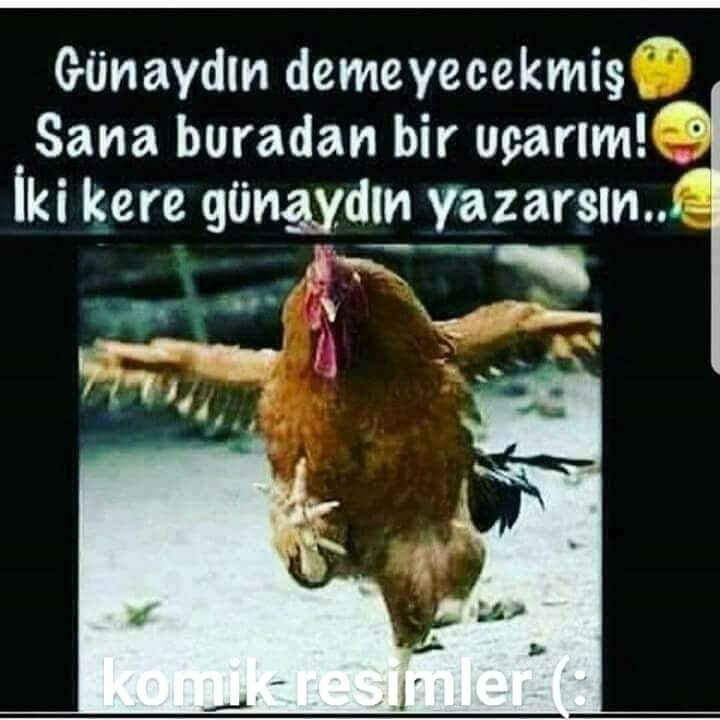 Serdar