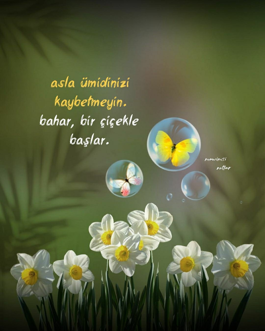Özlem