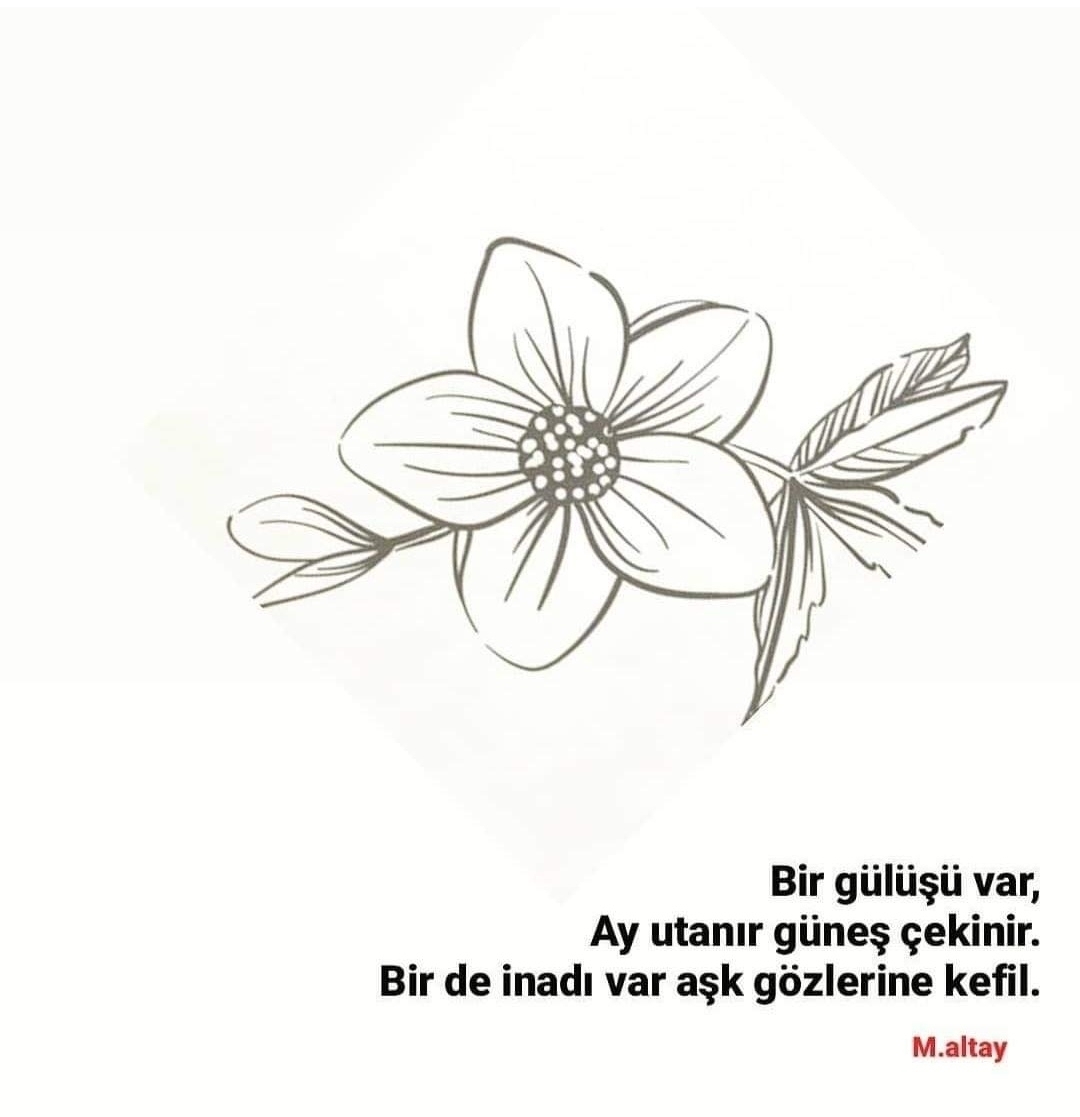 Seval