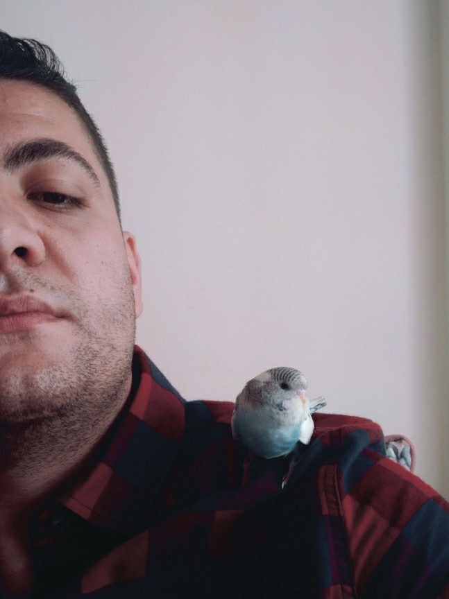 Fatih