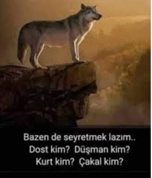Melek