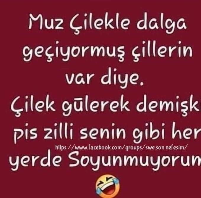 Melek