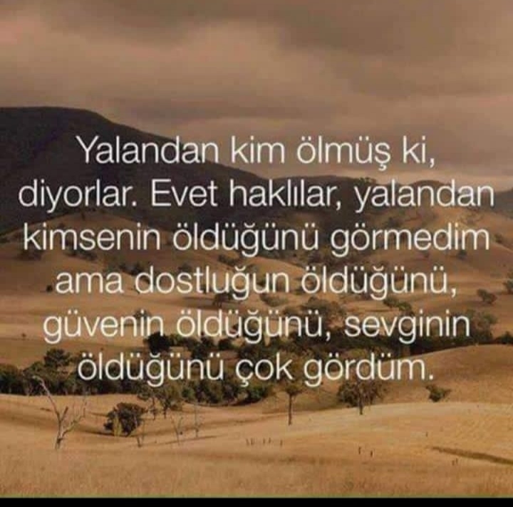 Şaziment