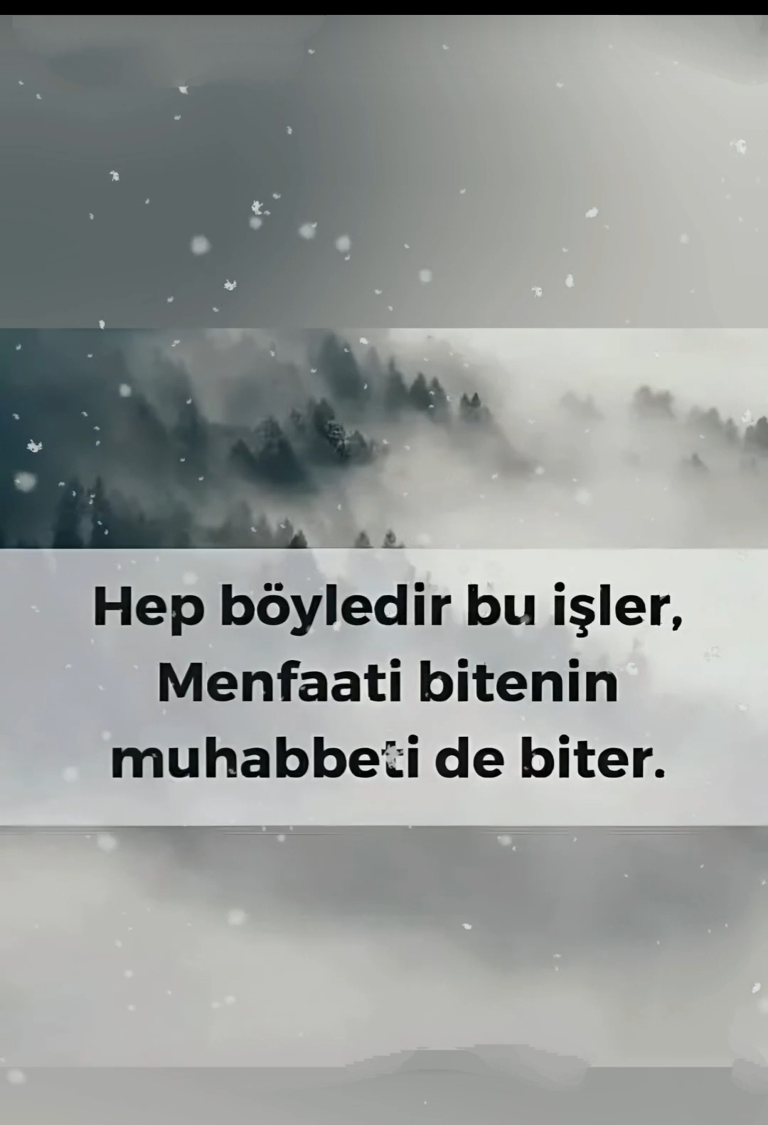 Poyraz