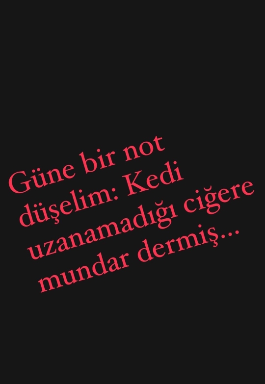 Ayşe