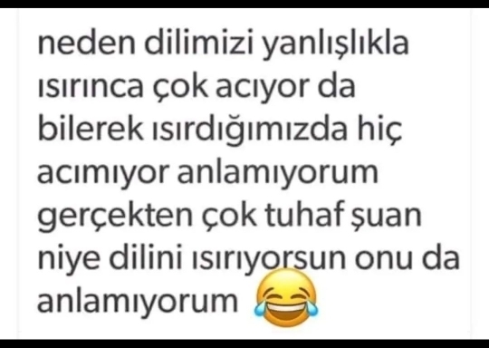 Elif