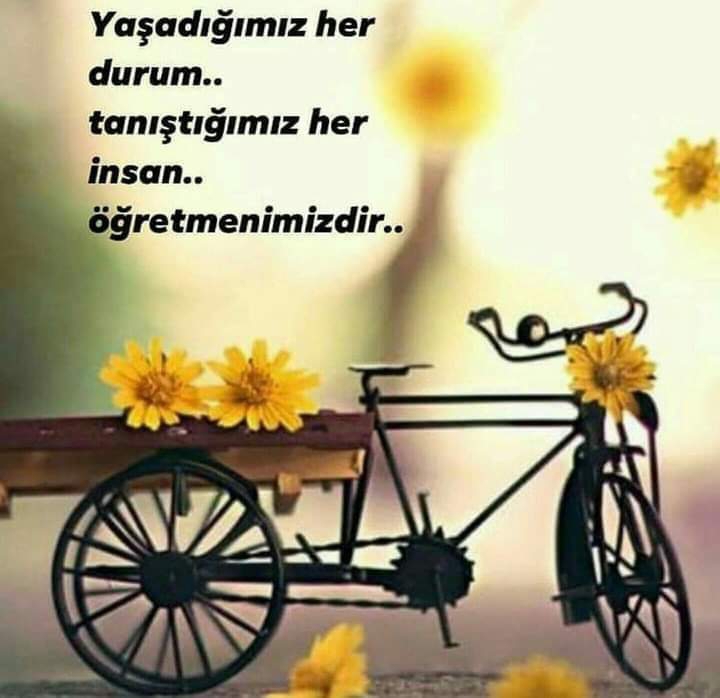 Gamze