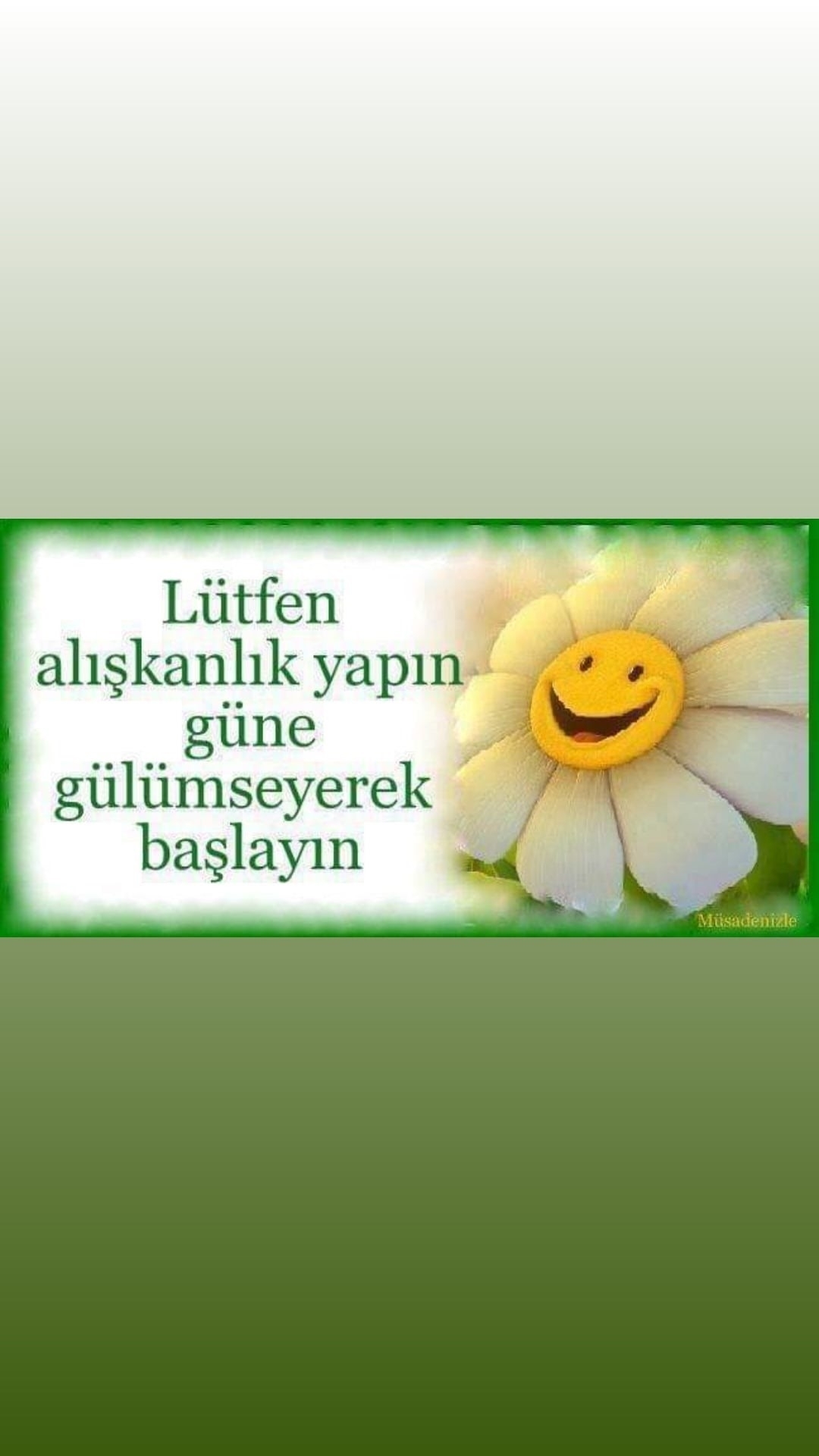 Bedriye