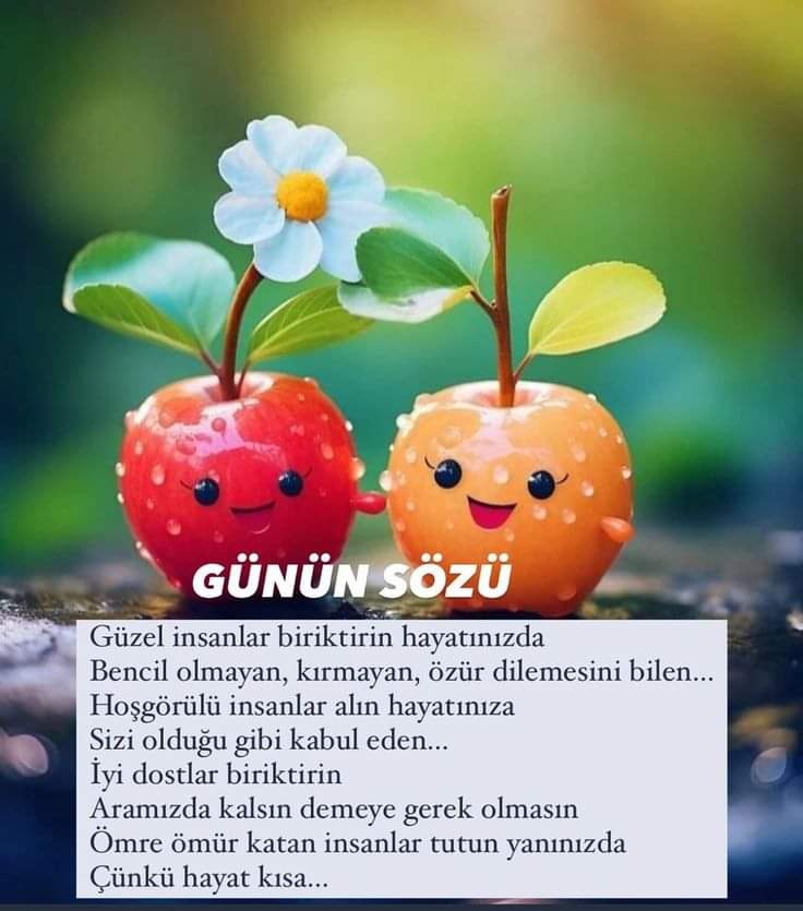Gazel