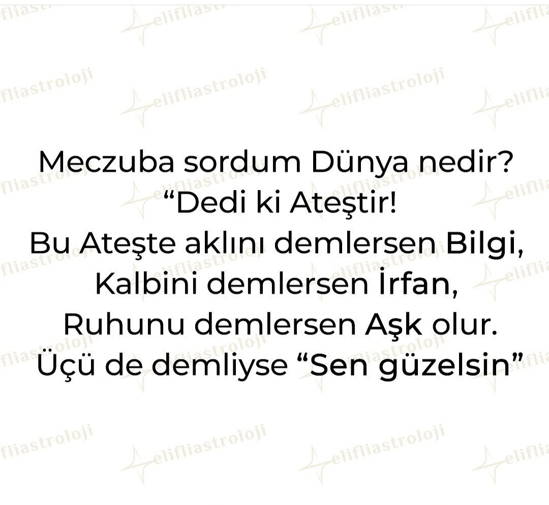 T C Yıldız
