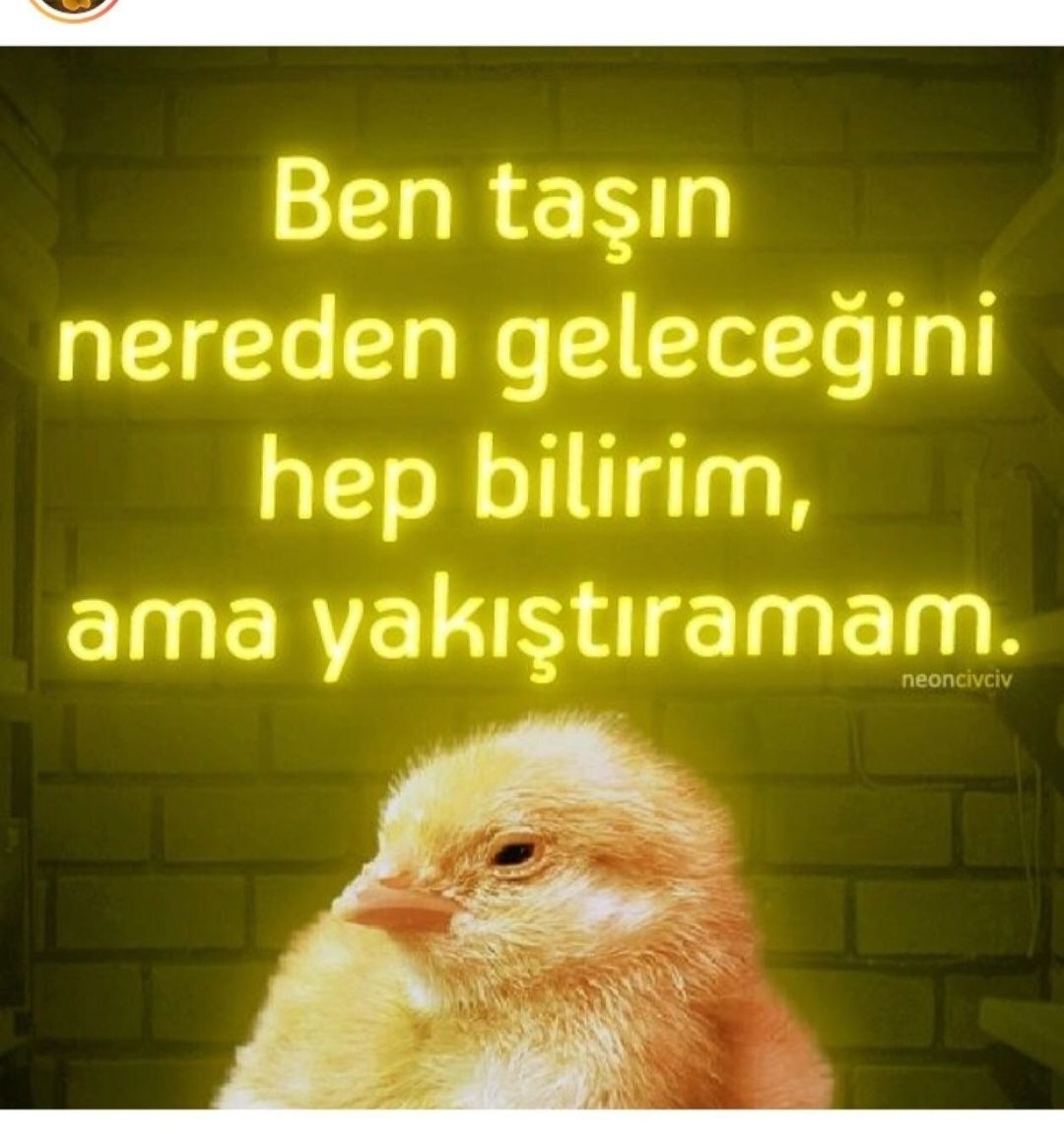 T C Yıldız