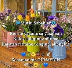 Aynur