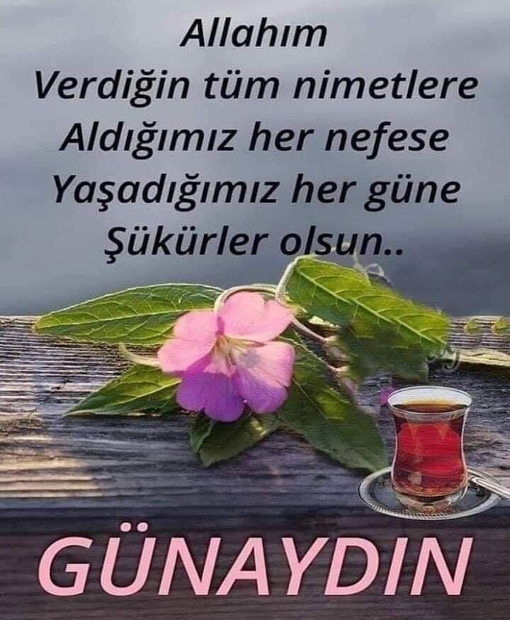 Melek