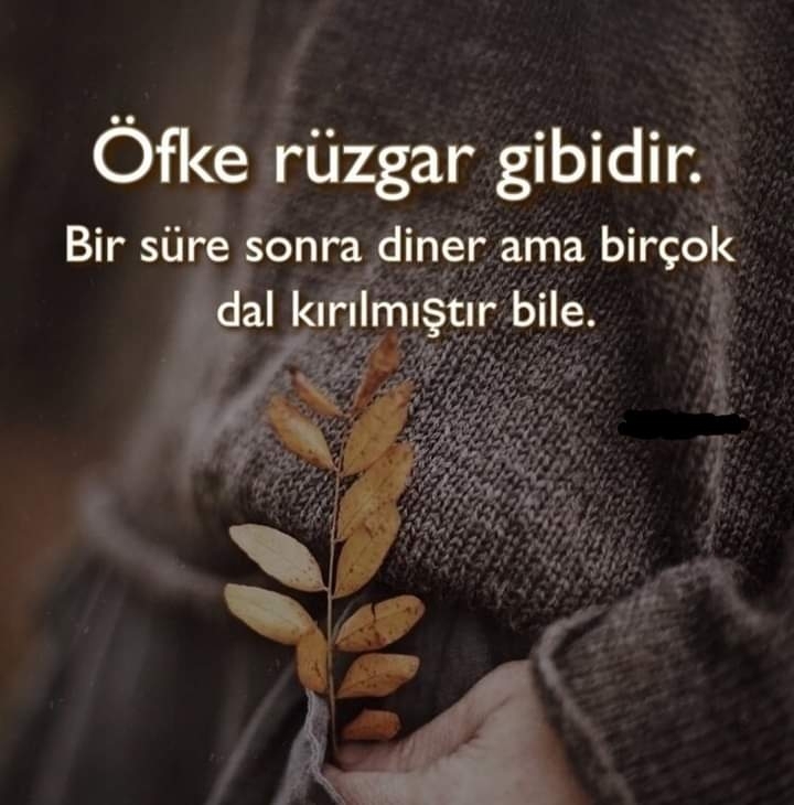 Şule