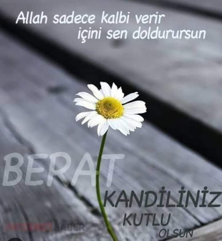 Saadet