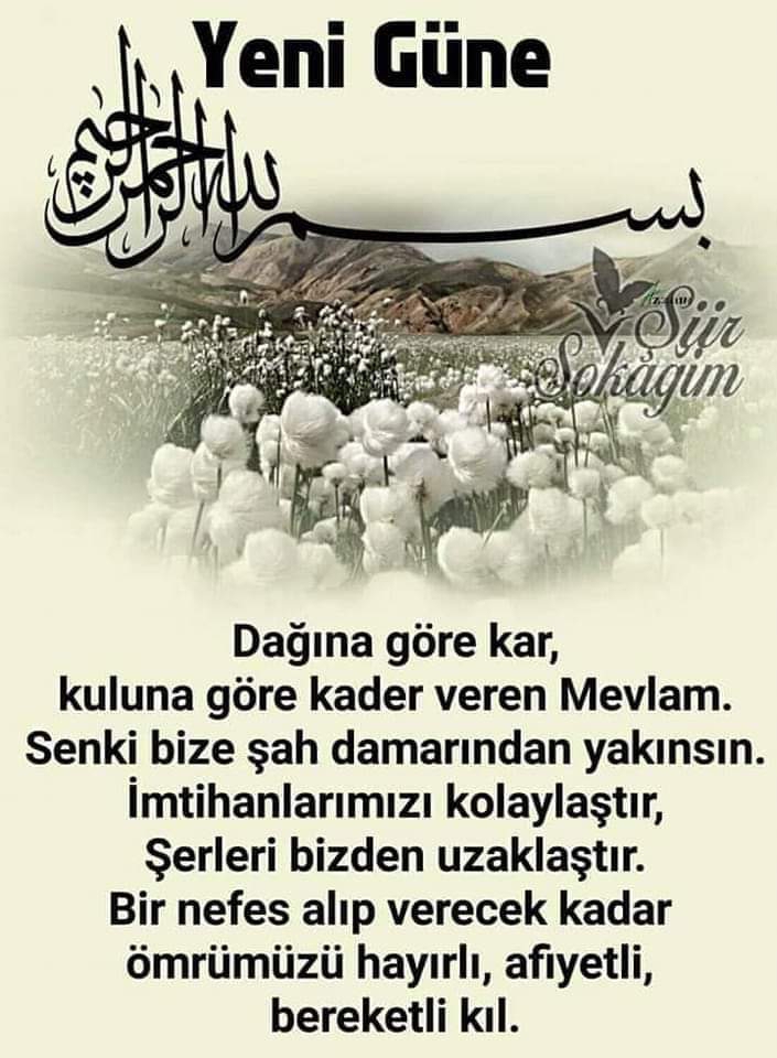 Sevda