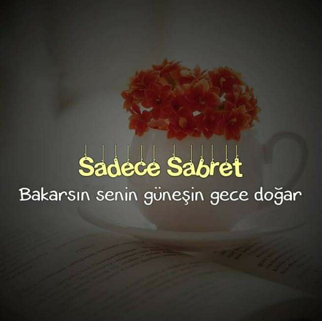 Hava
