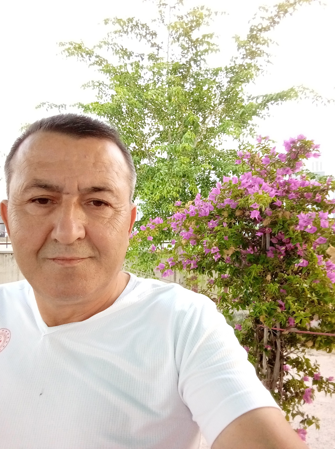 Erol
