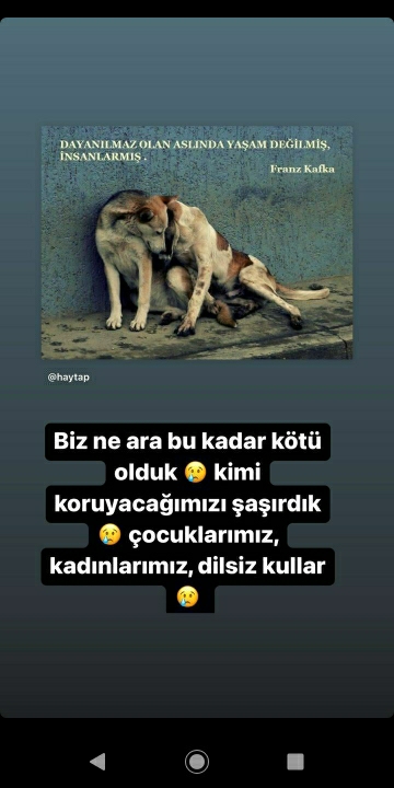gül