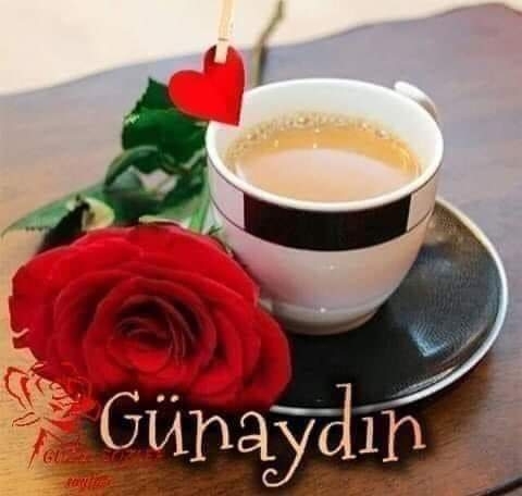 Ceyhan
