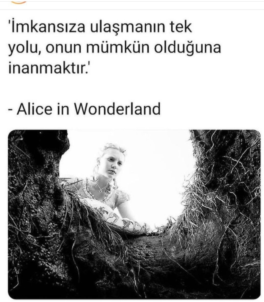 T C Yıldız