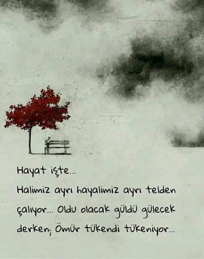 Gazel