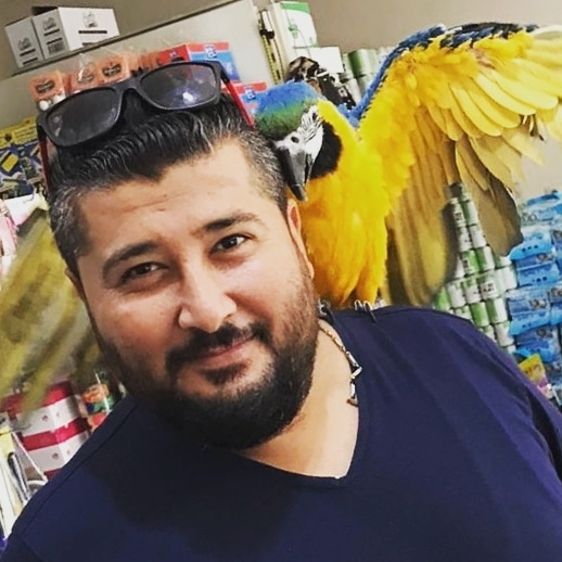 Mahmut