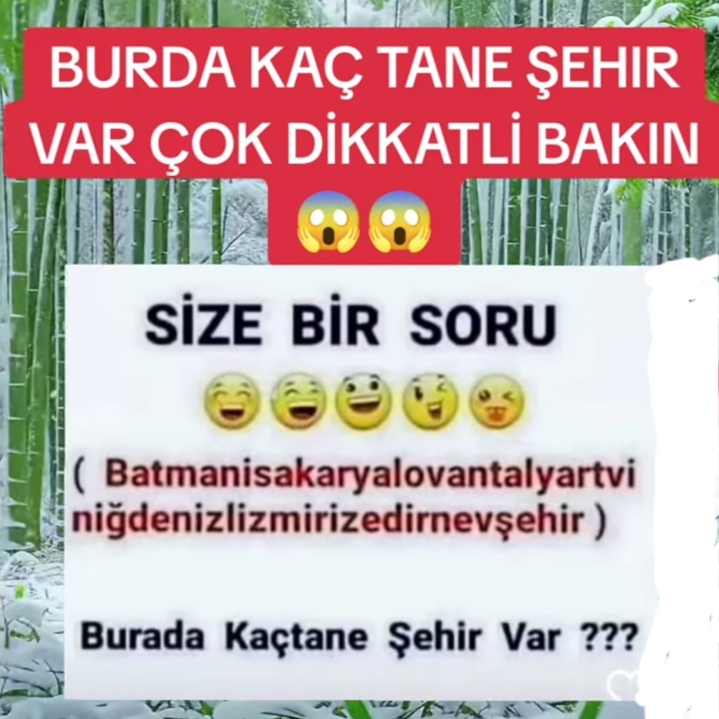 Aynur