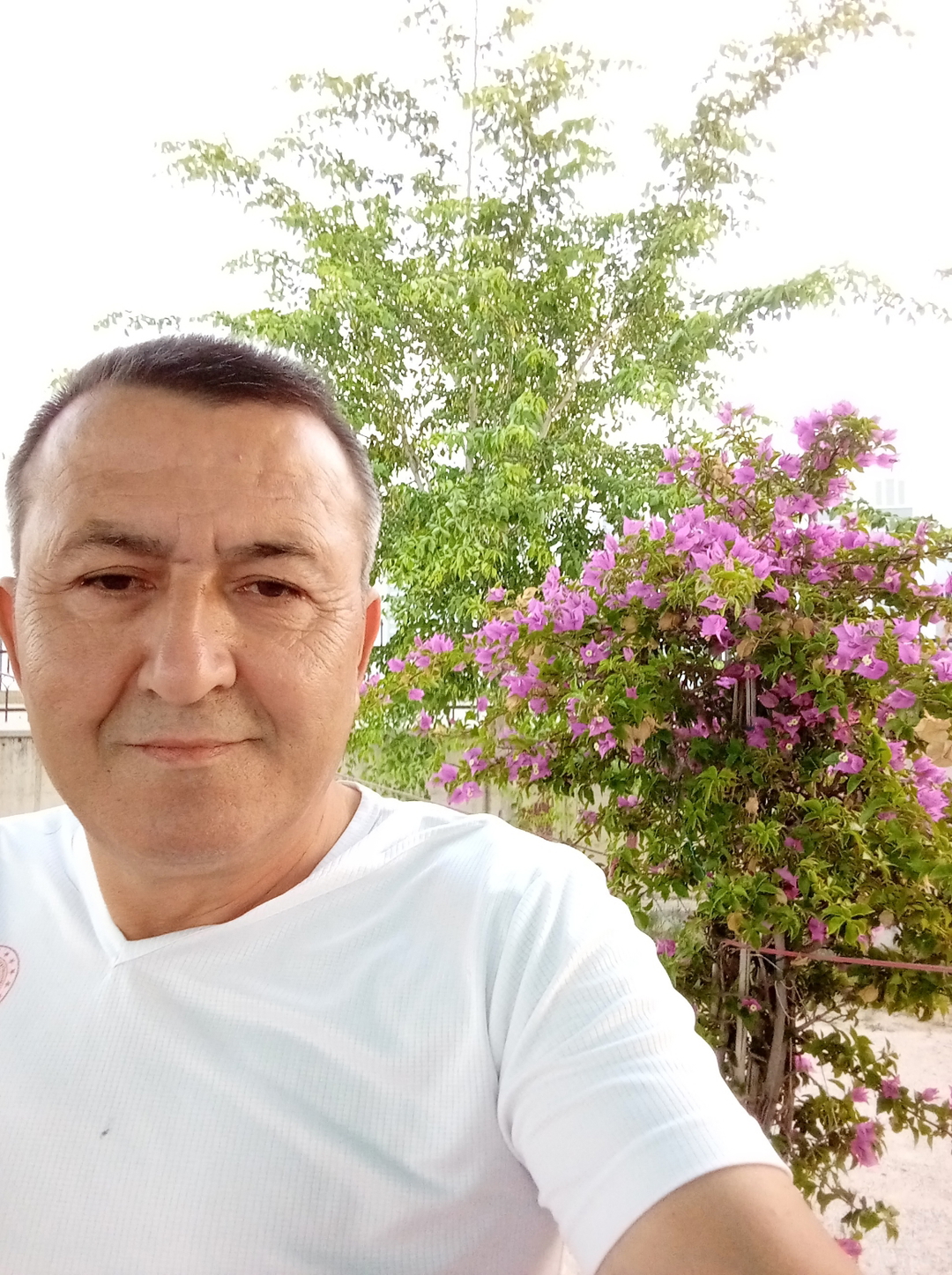 Erol