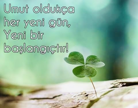 Gül