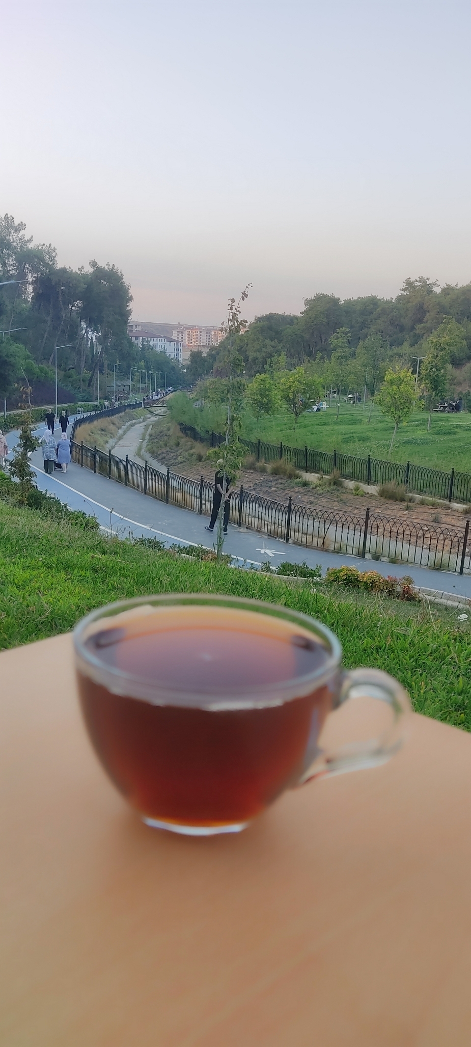Hasan