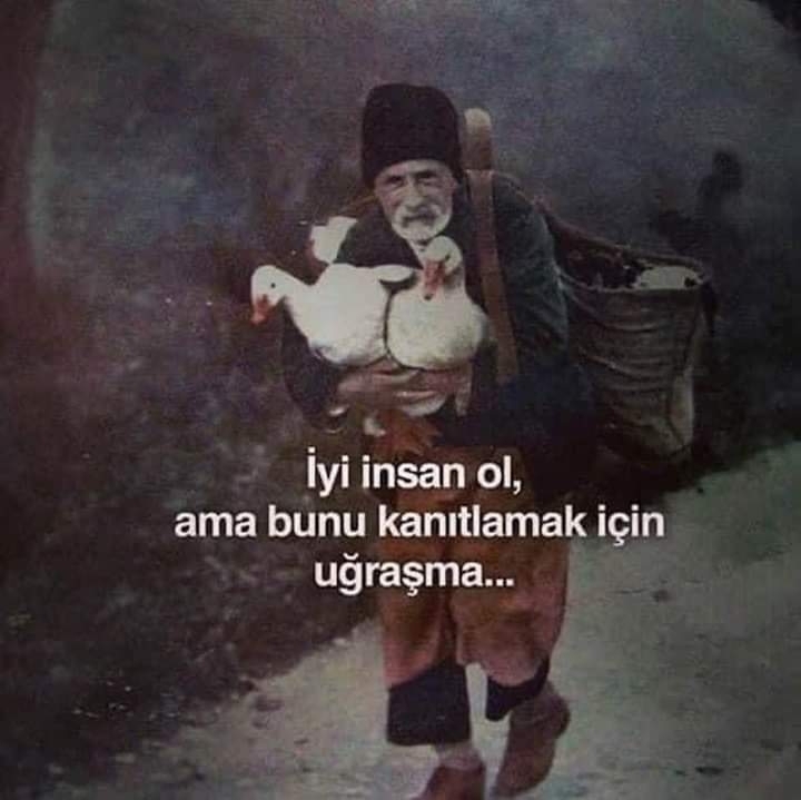 Erdem