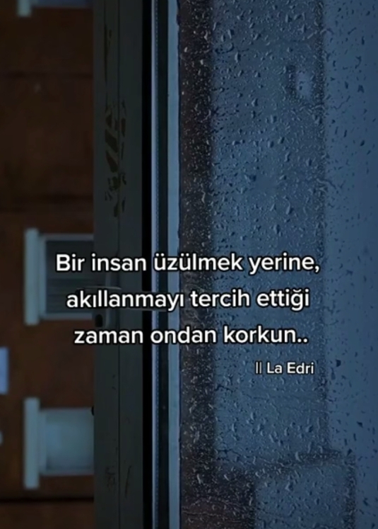 Sevgı
