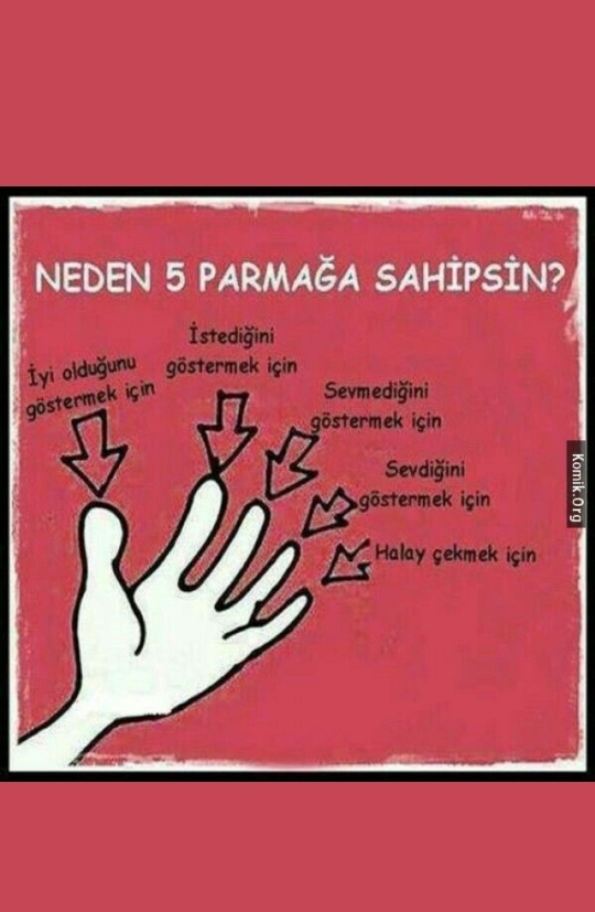 Orhan