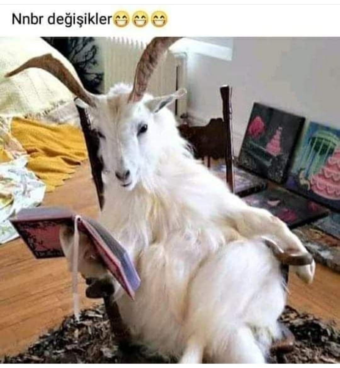Serdar