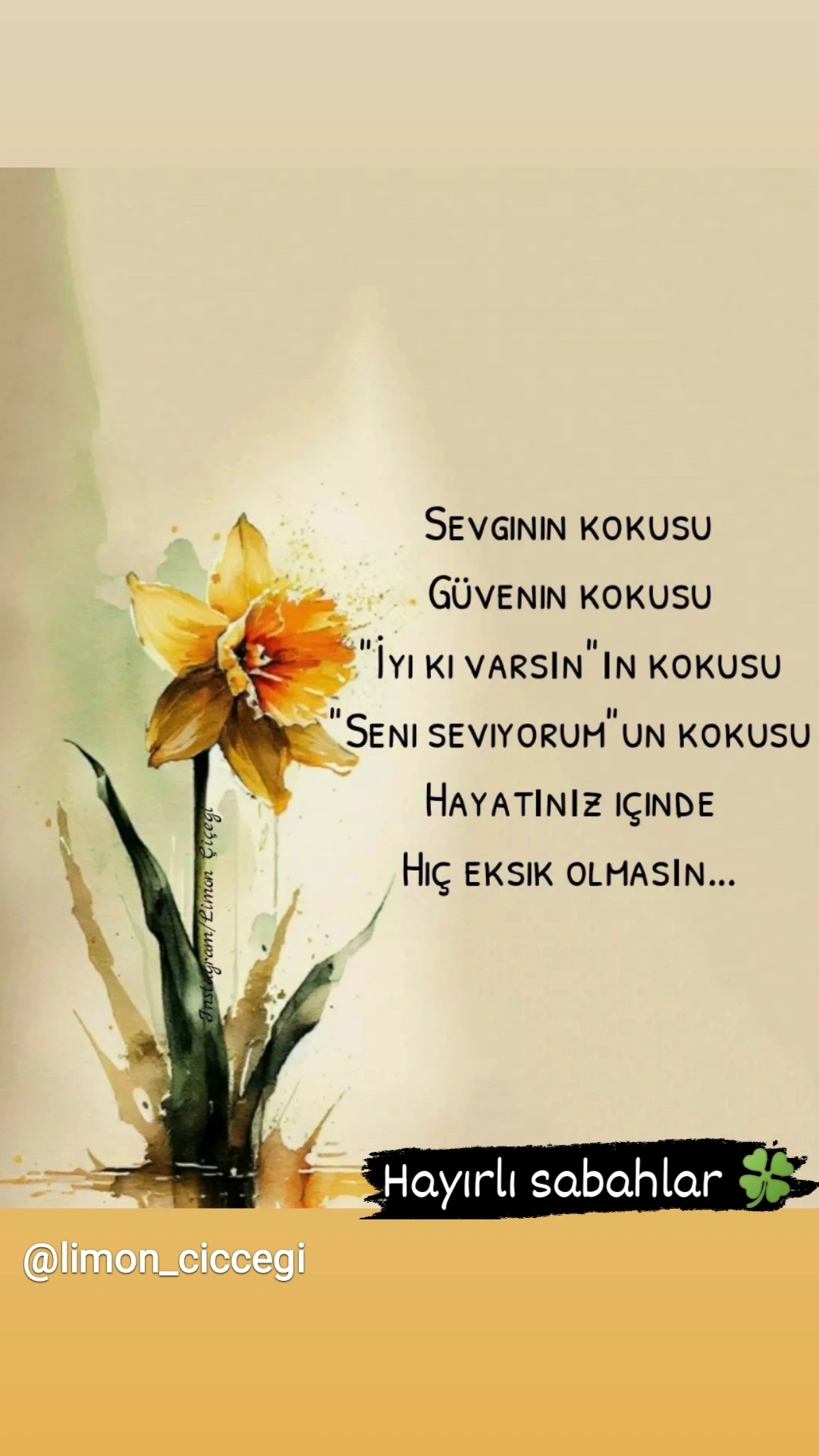 Bedriye
