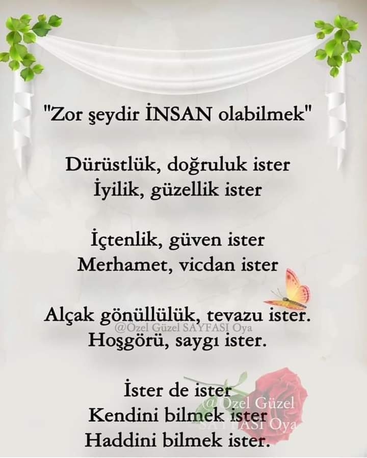 Seyhan