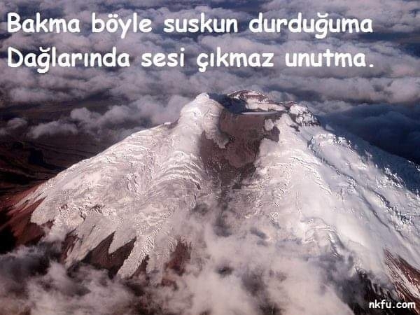 Mahmut