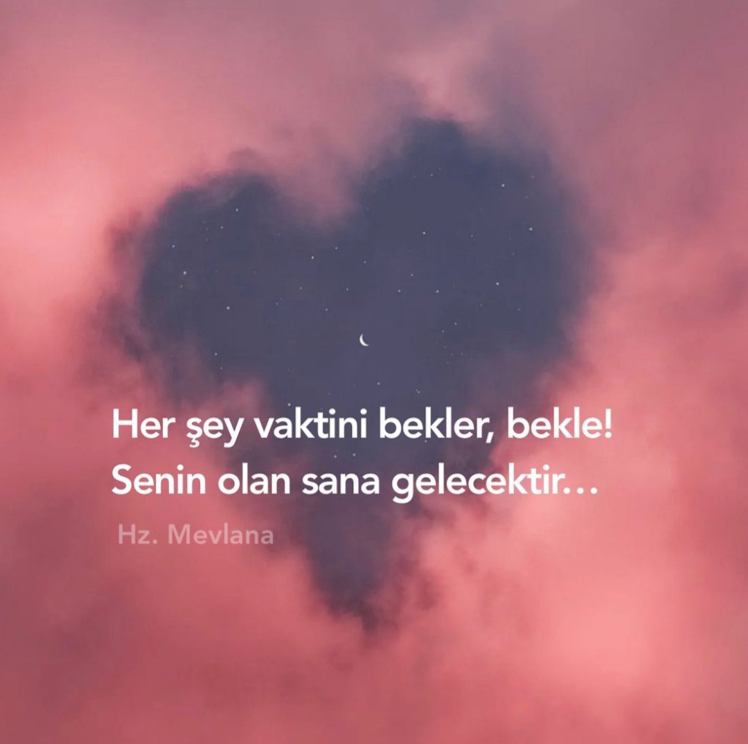 T C Yıldız