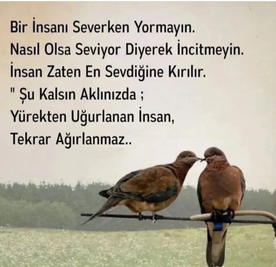 Fatih