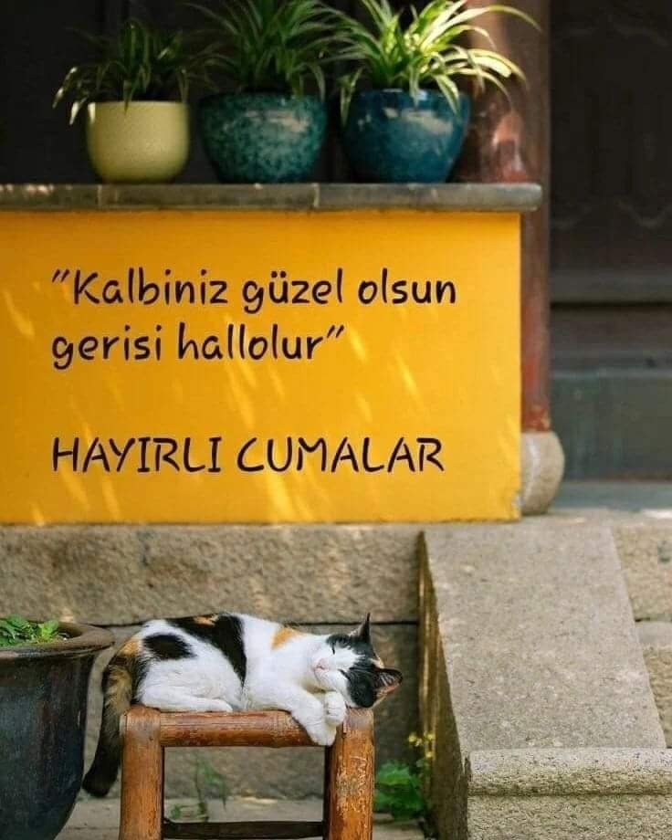 Uğur