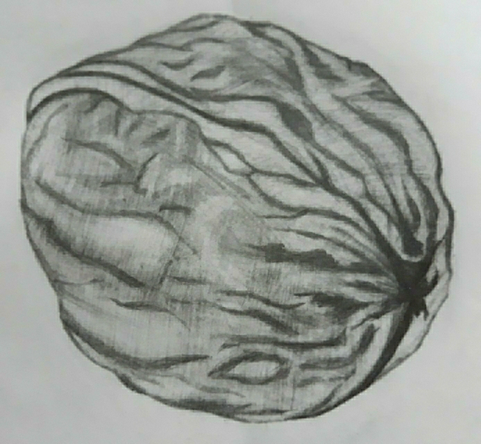 Zuhra