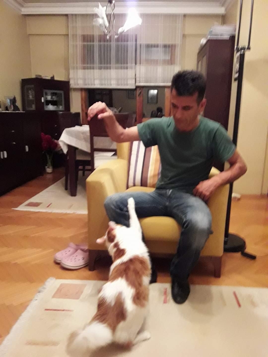 Metin
