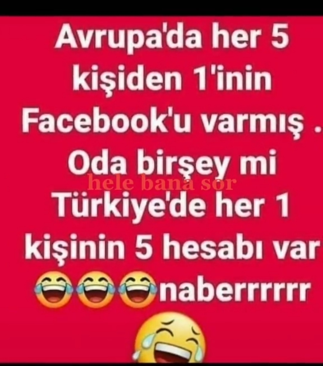 Aynur