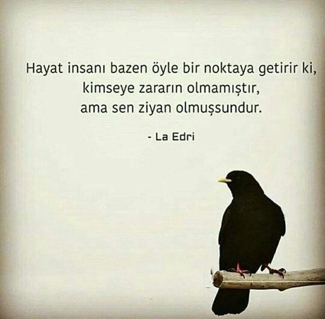 Buket