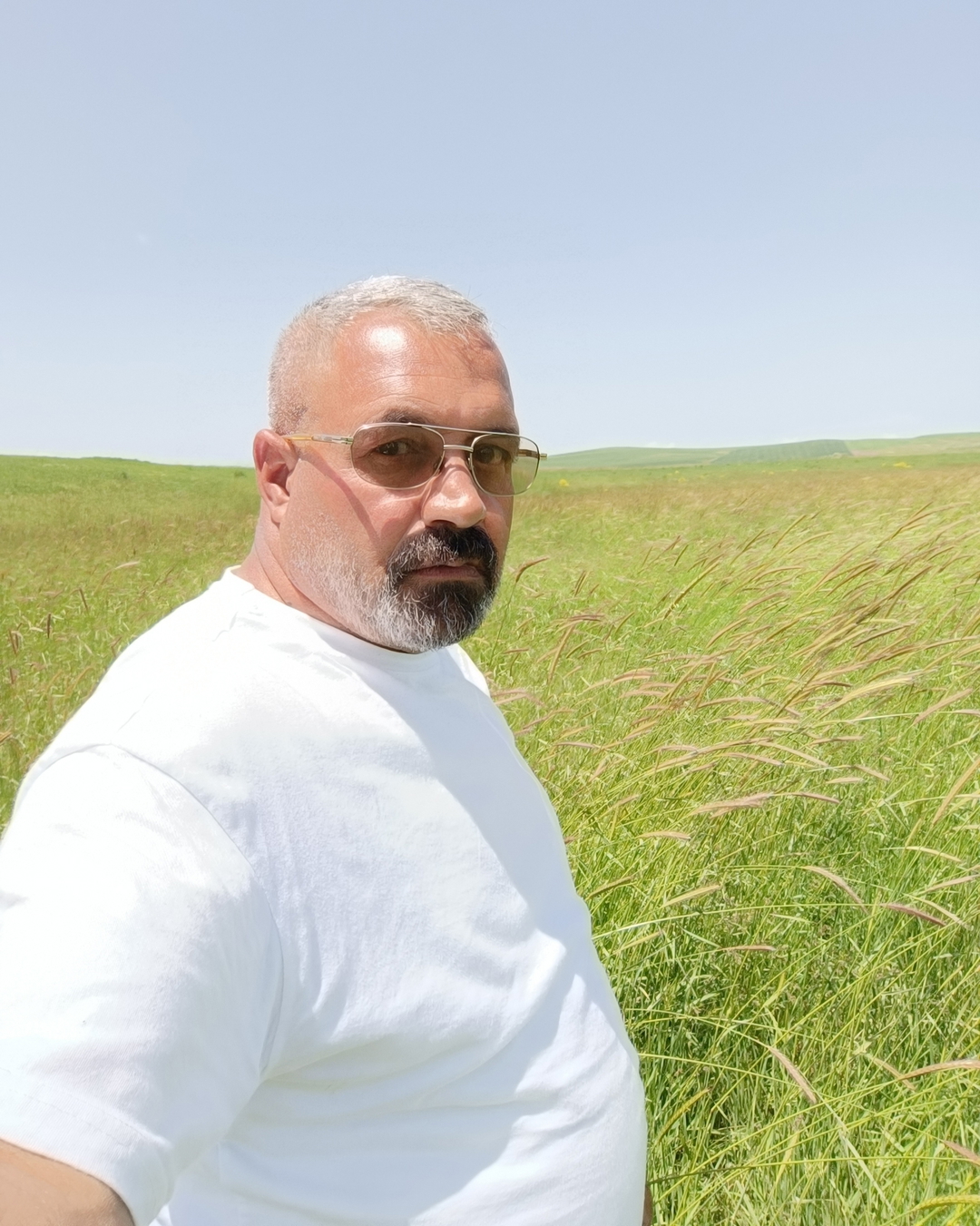 Şirin