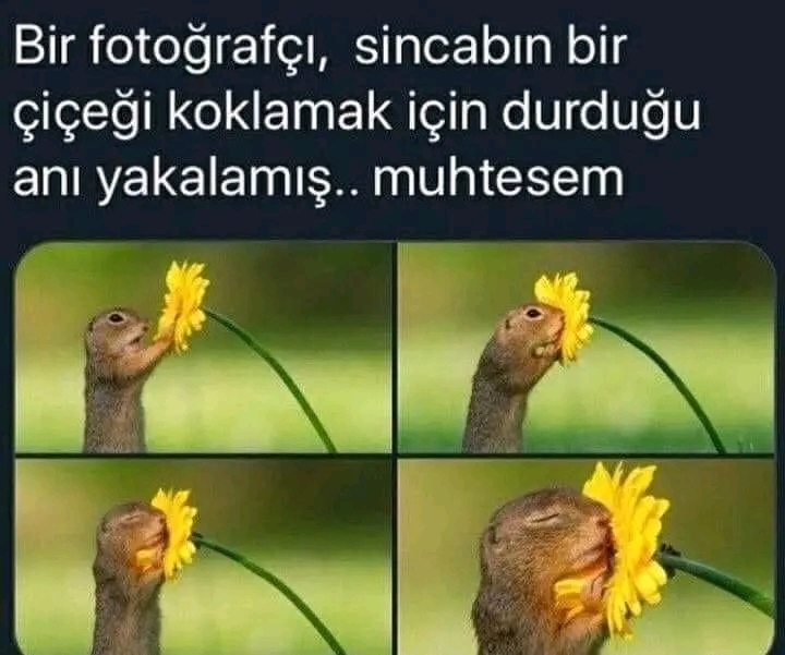 Uğur