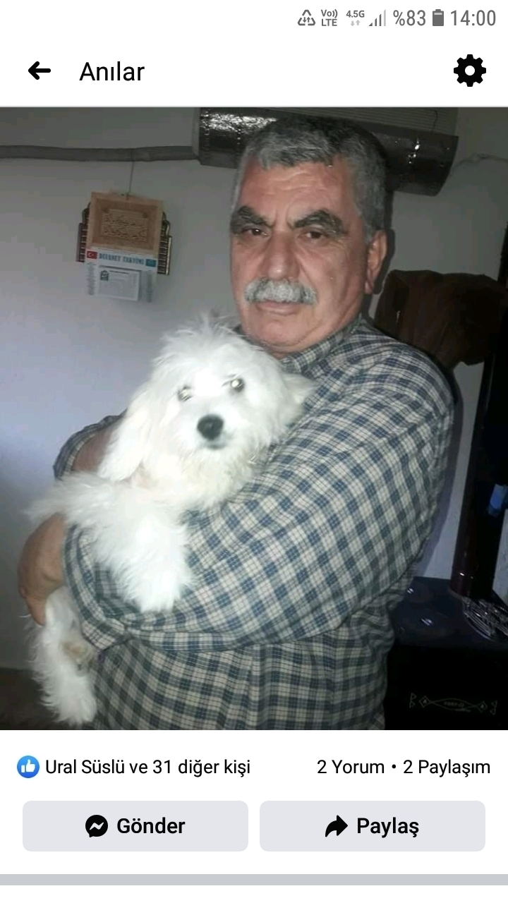 Metin