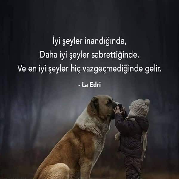 Gazel