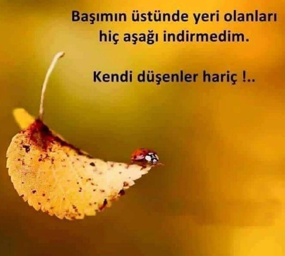 Pınar